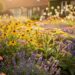 Massif de plantes vivaces faciles d entretien avec lavande rudbeckia et achillée dans un jardin belge en été