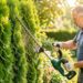Jardinier taillant une haie de thuya au taille-haie dans un jardin