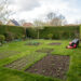 Jardin résidentiel belge au printemps avec une pelouse verte, des zones récemment semées, une tondeuse et des outils de jardinage sous une lumière douce.