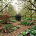 Jardin-forêt comestible en Belgique avec arbres fruitiers, groseilliers, chou vivace et paillage de feuilles sous une lumière douce de printemps.