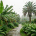 Jardin exotique luxuriant inspiré d’un parc paysager breton, avec une allée courbe bordée de fougères, de bananiers rustiques et d’un palmier chanvre sous une lumière douce.